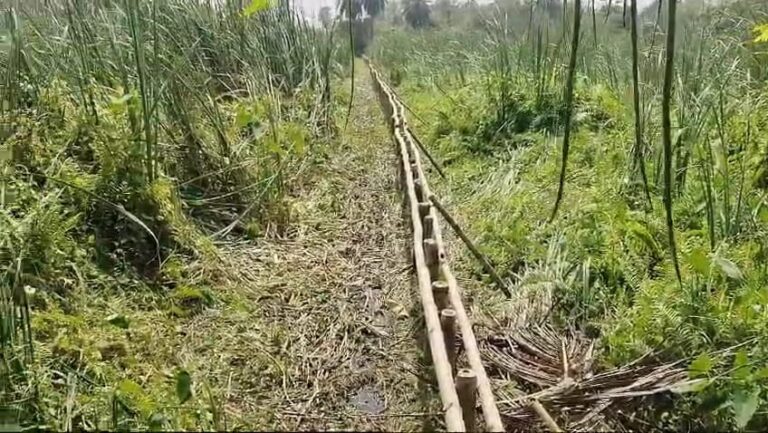 প্রাক্তন তৃণমূল বিধায়কের মেয়ে-জামাইয়ের জমি দখলের অভিযোগ জমি মাফিয়াদের বিরুদ্ধে